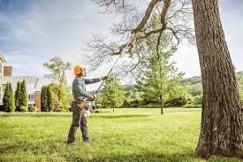 Best Seasonal Cleanup (Spring/Fall)  in Joplin, MO