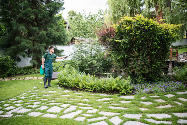 Best Lawn Watering Services  in Joplin, MO